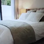 Magnificent And Sunny Apartment